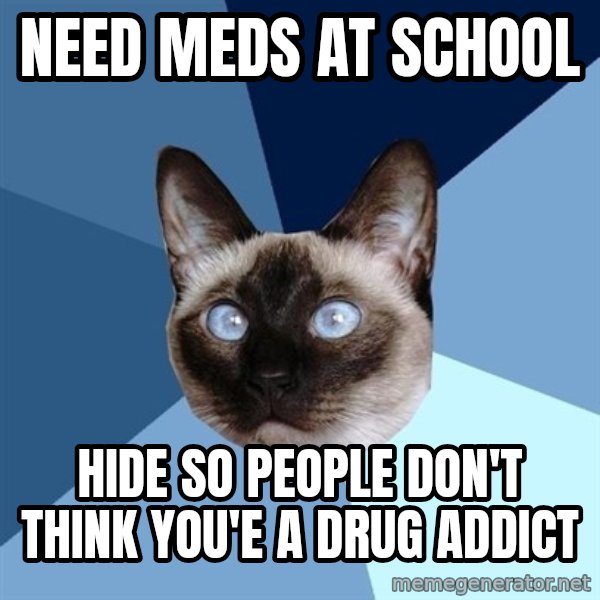 Chronic Illness Cat meme: need meds at school / hide so people don't think you'e a drug addict