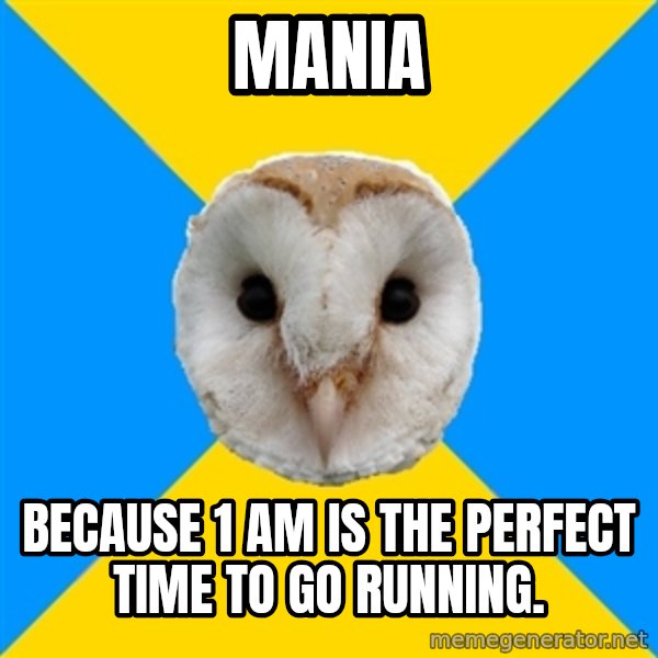 Bipolar Owl meme: Mania / Because 1 am is the perfect time to go running.