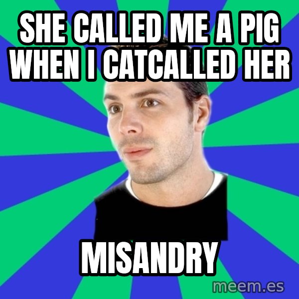 White Cishet Opinions meme: she called me a pig when i catcalled her / misandry