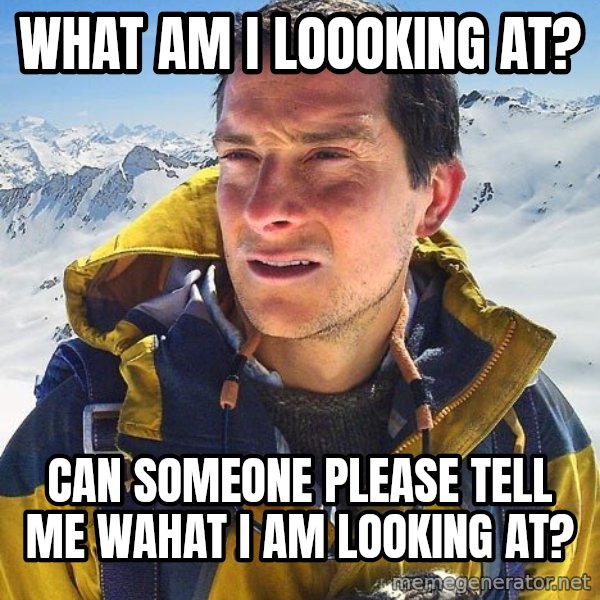 Bear Grylls Loneliness meme: what am i loooking at? / can someone please tell me wahat i am looking at?