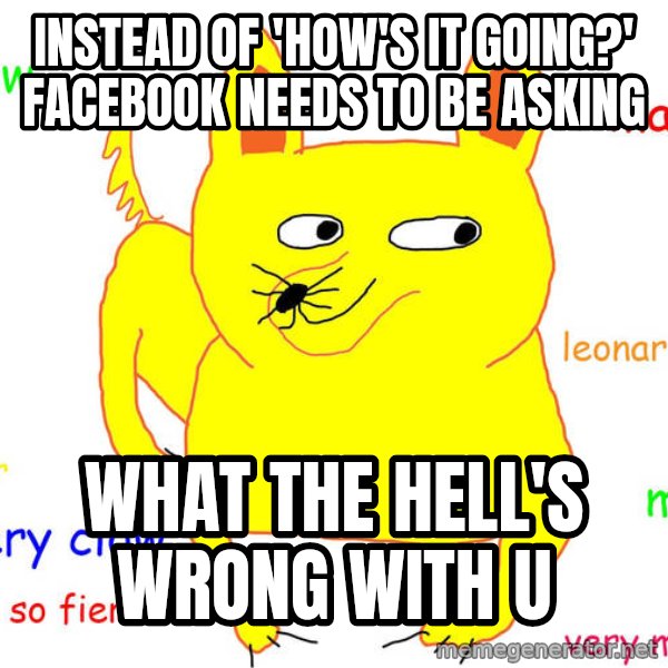 Grumpy Cat  meme: instead of 'how's it going?' facebook needs to be asking / what the hell's wrong with u