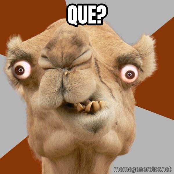 Crazy Camel lol meme: QUE?