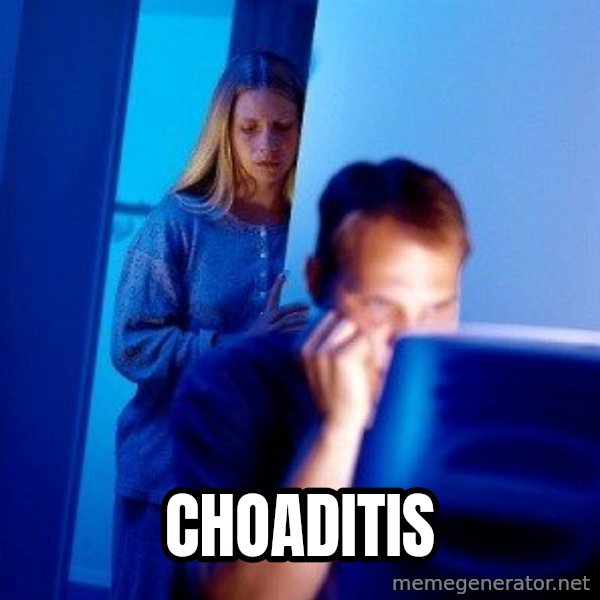 Internet Husband meme: choaditis