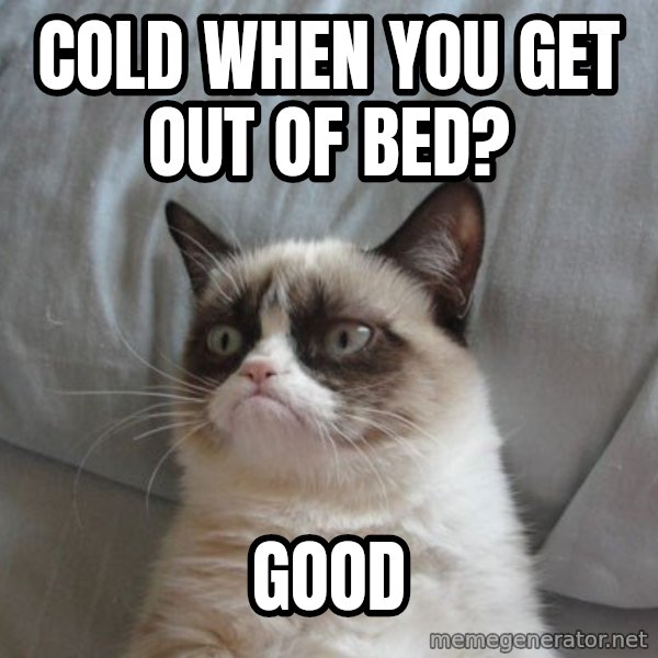 Grumpy cat good meme: Cold when you get out of bed? / good