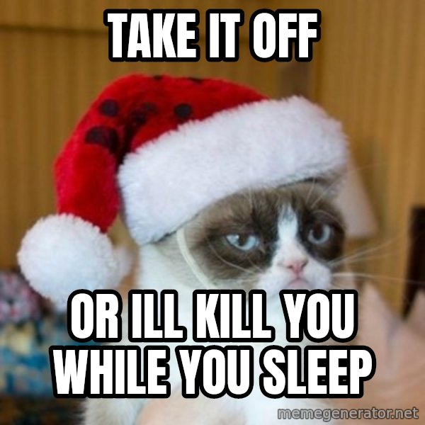 Grumpy Cat Santa Hat meme: TAKE IT OFF / OR ILL KILL YOU WHILE YOU SLEEP