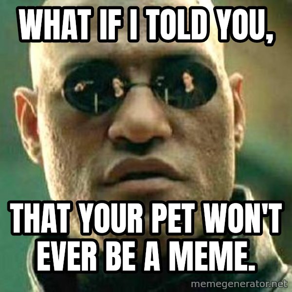 What if I told you / Matrix Morpheus meme: What if i told you, / That your pet won't ever be a meme.