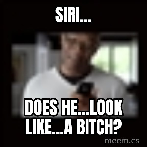 Samuel L Jackson Siri meme: siri... / does he...look like...a bitch?