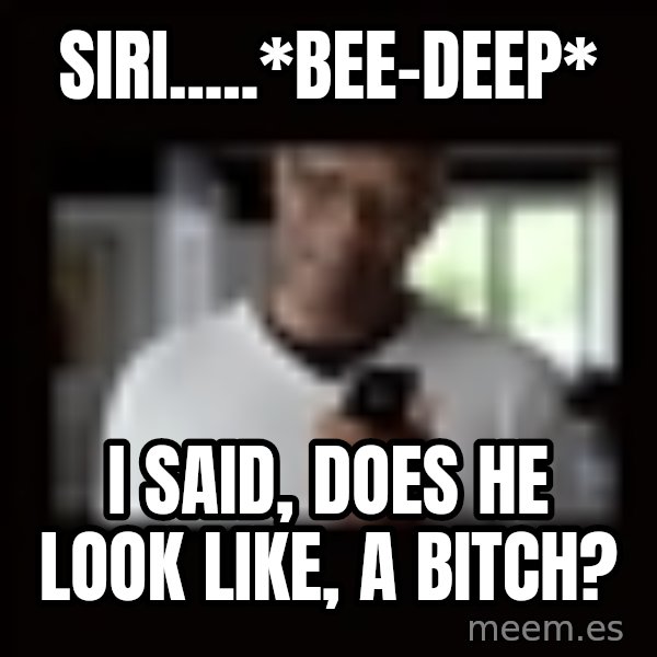 Samuel L Jackson Siri meme: Siri.....*Bee-Deep* / I said, does he look like, a bitch?