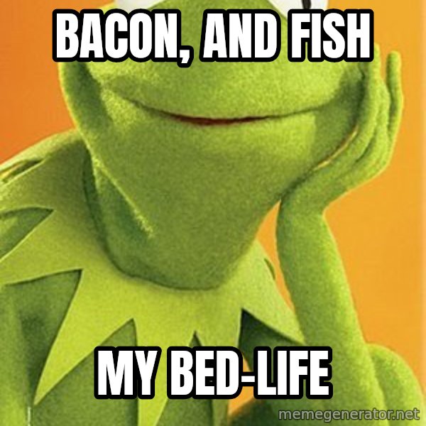 Kermit the frog meme: bacon, and fish / my bed-life