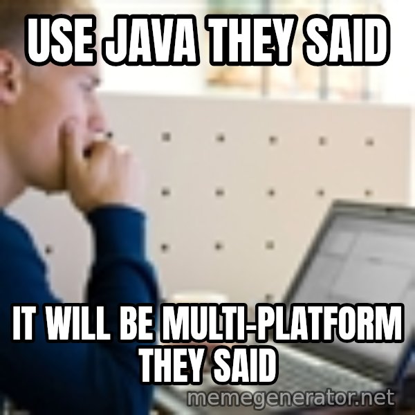Computer Programmer meme: use java they said / it will be multi-platform they said