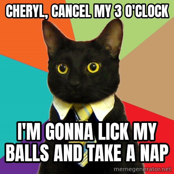 Business Cat meme: Cheryl, cancel my 3 o'clock / I'm gonna lick my balls and take a nap