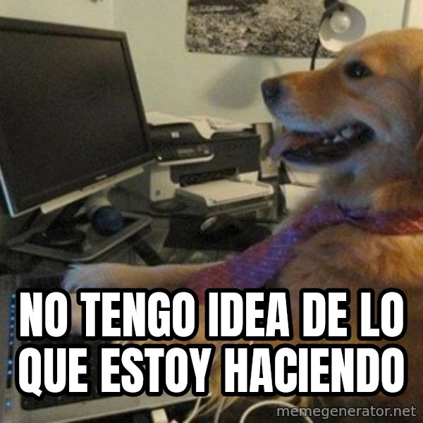 I have no idea what I'm doing - Dog with Tie meme: NO TENGO IDEA DE LO QUE ESTOY HACIENDO