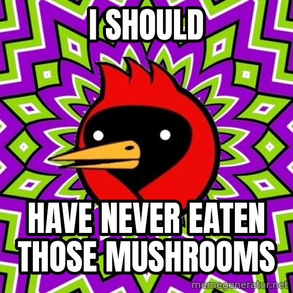 Omsk Crow meme: i should / have never eaten those mushrooms