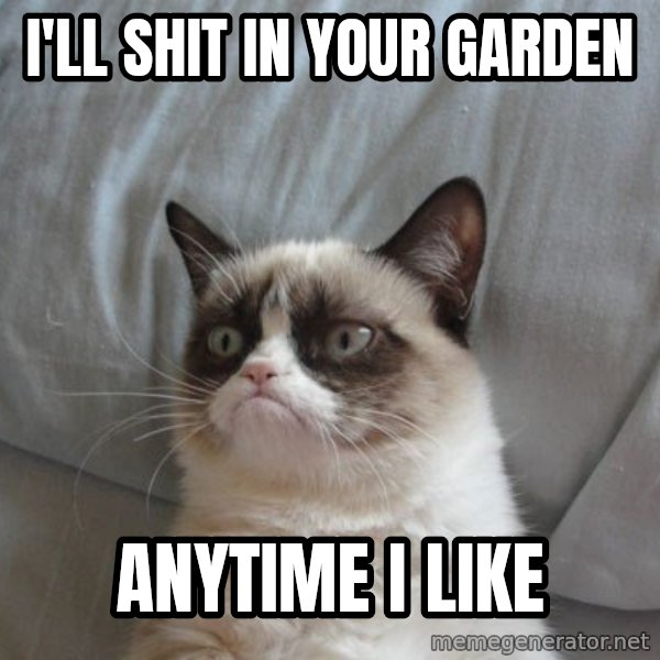 Grumpy cat good meme: I'll SHIT IN YOUR GARDEN / ANYTIME I LIKE