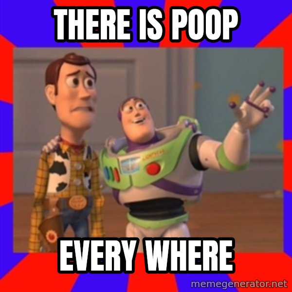 X, X Everywhere  meme: THERE IS POOP / EVERY WHERE