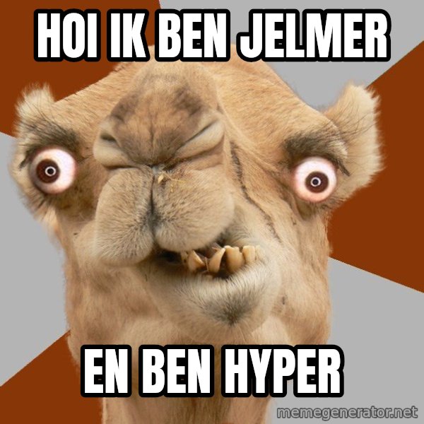 Crazy Camel lol meme: HOI IK  BEN JELMER / EN BEN HYPER