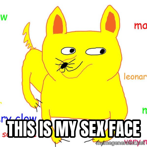 Grumpy Cat  meme: This is my sex face
