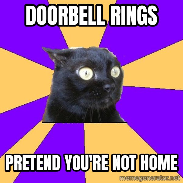 Anxiety Cat meme: DOORBELL RINGS / PRETEND YOU'RE NOT HOME