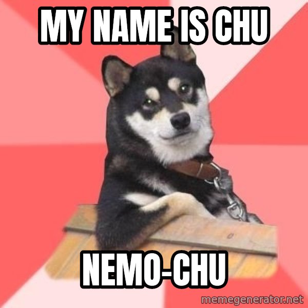Cool Dog meme: My name is chu / nemo-chu