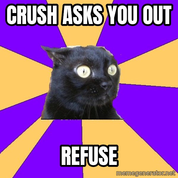 Anxiety Cat meme: CRUSH ASKS YOU OUT / REFUSE