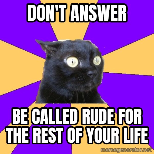 Anxiety Cat meme: DON't answer / be called rude for the rest of your life