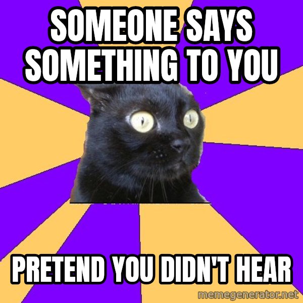 Anxiety Cat meme: Someone says something to you / pretend you didn't hear