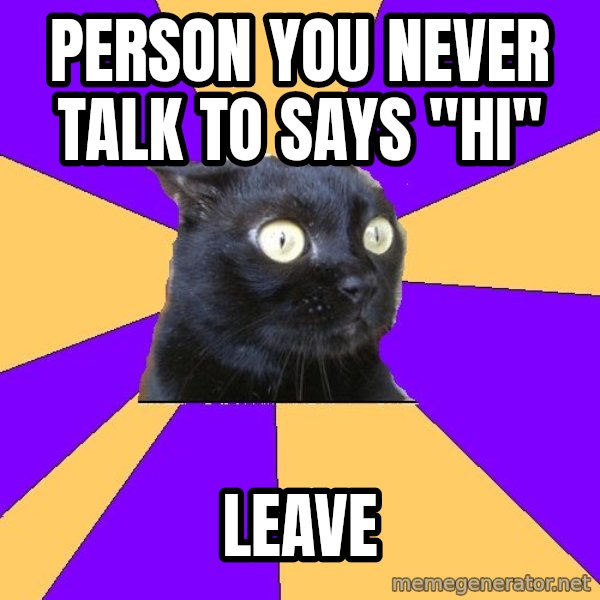 Anxiety Cat meme: person you never talk to says "hi" / leave