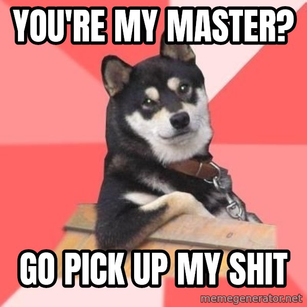 Cool Dog meme: You're my master? / Go pick up my shit