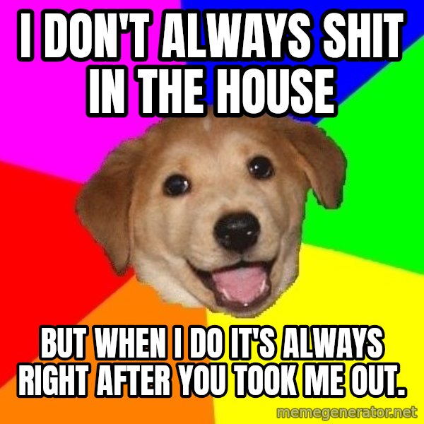 Advice Dog meme: I don't Always shit in the house / but when I do it's always right after you took me out.
