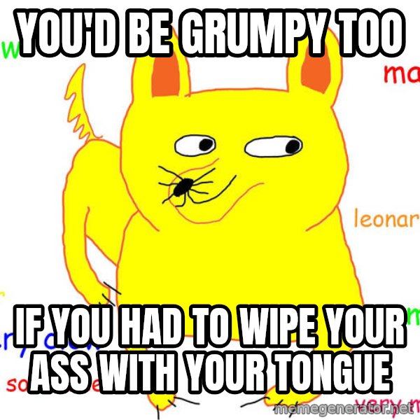 Grumpy Cat  meme: you'd be grumpy too / if you had to wipe your ass with your tongue
