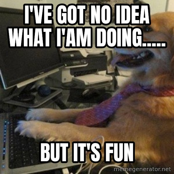 I have no idea what I'm doing - Dog with Tie meme: I'VE GOT NO IDEA WHAT I'AM DOING..... / BUT IT'S FUN