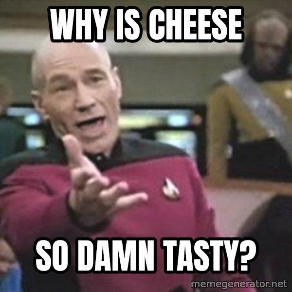 Captain Picard meme: why is cheese / so damn tasty?