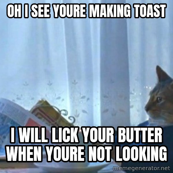 newspaper cat realization meme: oH i SEE YOURE MAKING TOAST / i WILL LICK YOUR BUTTER WHEN YOURE NOT LOOKING