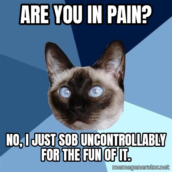 Chronic Illness Cat meme: are you in pain? / no, I just sob uncontrollably for the fun of it.