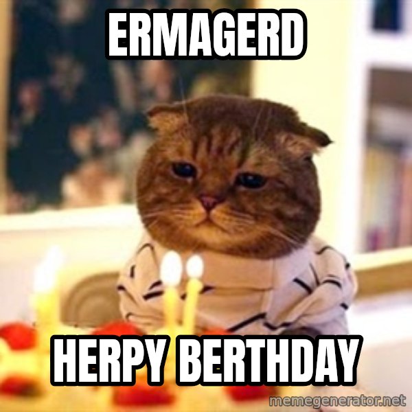 Birthday Cat meme: Ermagerd / herpy berthday