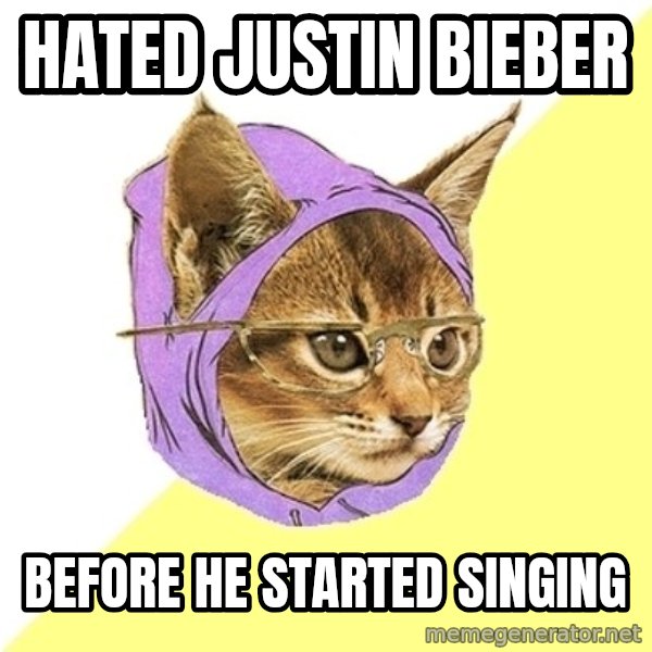 Hipster Kitty meme: Hated Justin Bieber / Before he started singing