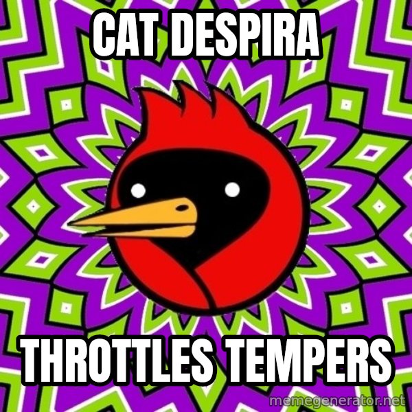 Omsk Crow meme: Cat despira / Throttles tempers