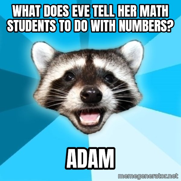 Lame Pun Coon meme: what does eve tell her math students to do with numbers? / adam
