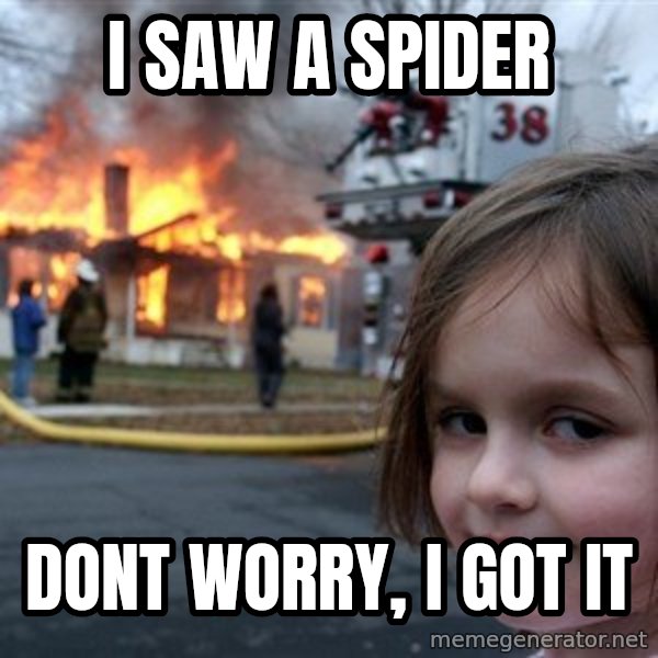 Disaster Girl meme: i saw a spider / dont worry, i got it