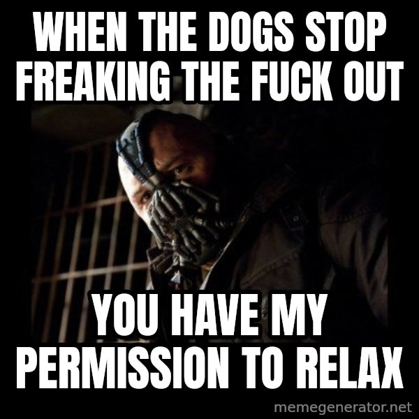 Bane Meme meme: when the dogs stop freaking the fuck out / you have my permission to relax