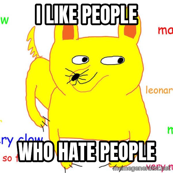 Grumpy Cat  meme: I like people / who hate people