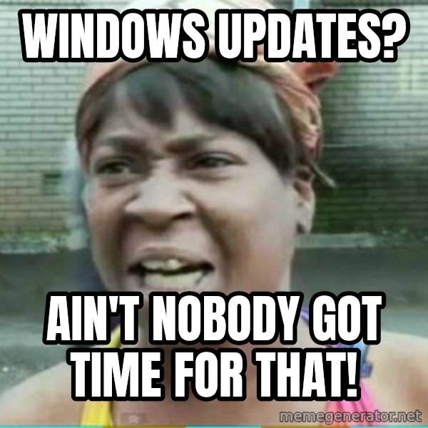 Sweet Brown Meme meme: Windows updates? / ain't nobody got time for that!