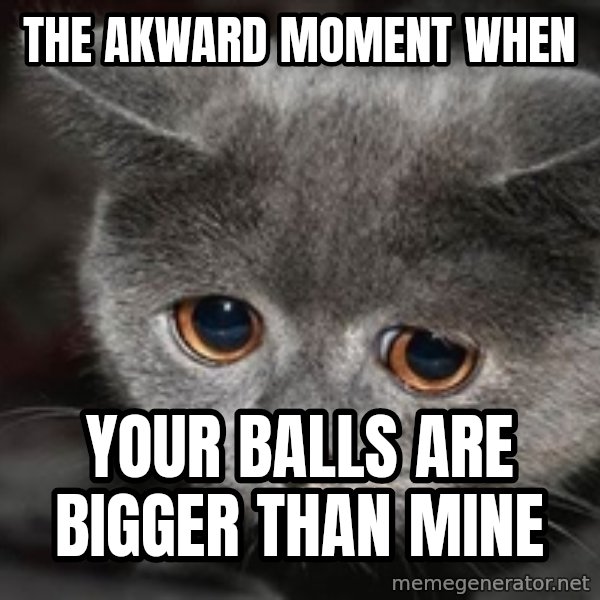 Sadcat meme: the akward moment when / YOUR BALLS ARE BIGGER THAN MINE