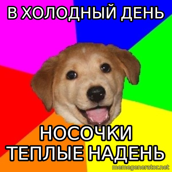 Advice Dog meme: в холодный день / носочки теплые надень