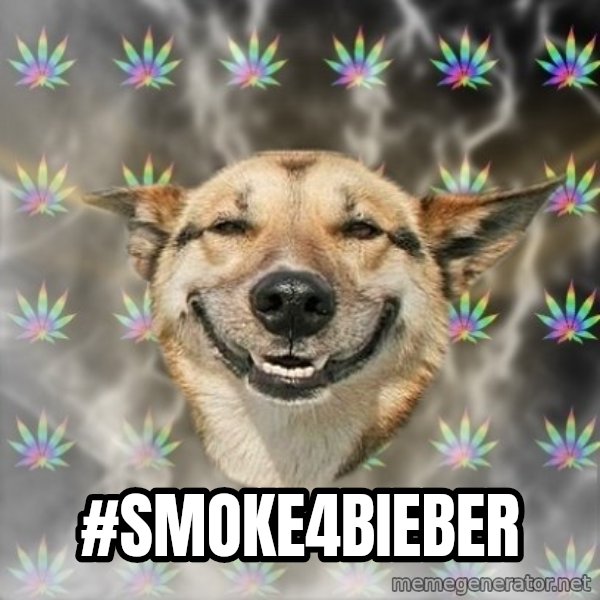 Stoner Dog meme: #smoke4bieber