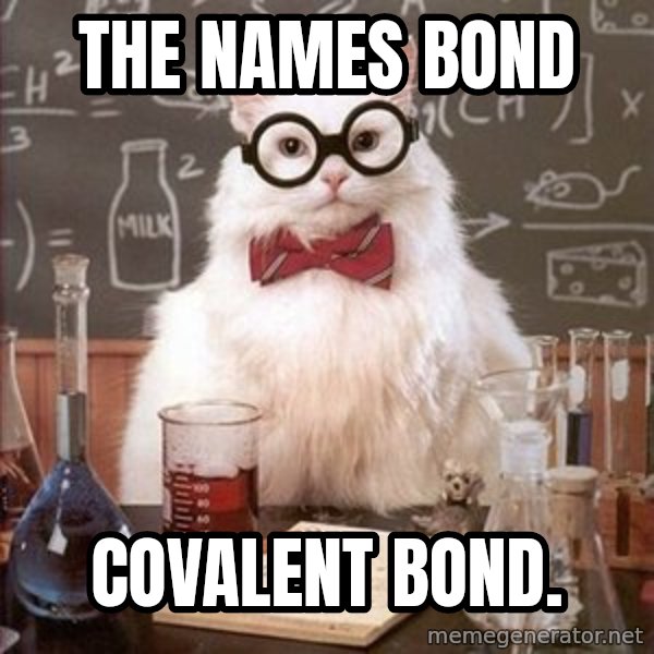 Chemistry Cat meme: The names bond / covalent bond.