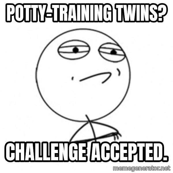 Challenge Accepted meme: Potty-training twins? / Challenge accepted.