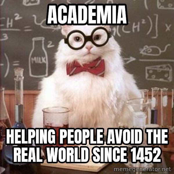 Chemistry Cat meme: Academia / Helping people avoid the real world since 1452