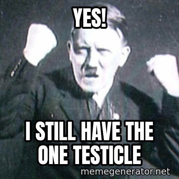 Successful Hitler meme: yes! / i still have the one testicle