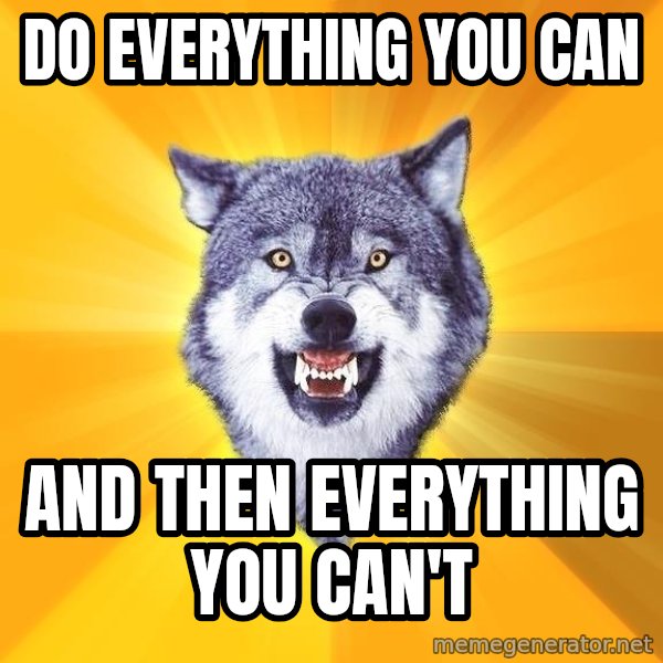 Courage Wolf meme: DO EVERYTHING YOU CAN / AND THEN EVERYTHING YOU CAN'T